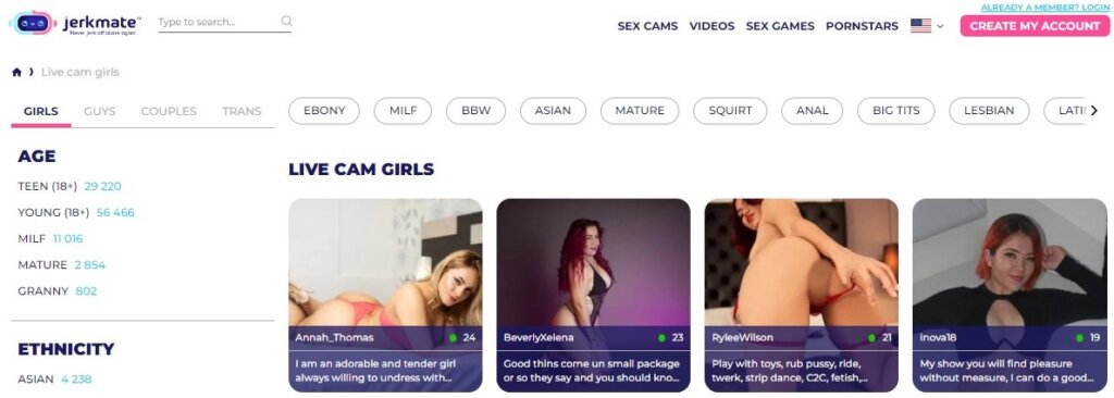 Screenshot Jerkmate Live Cam Models