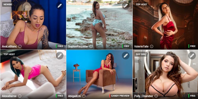 Screenshot Imlive Models