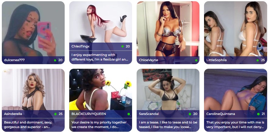 Screenshot Jerkmate Camgirls