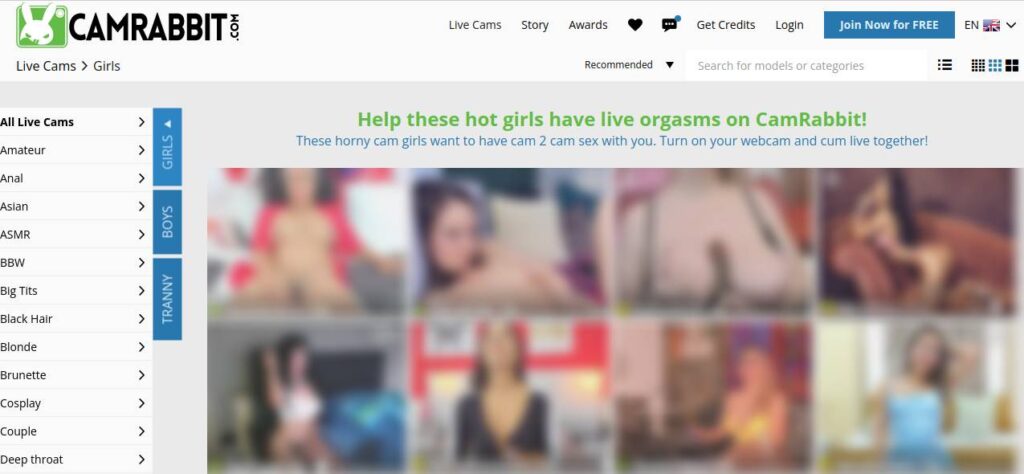 WebSites Similar to Camrabbit