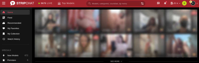 StripChat Cam Site
