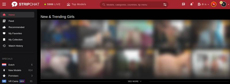 StripChat Screnshot Main Page