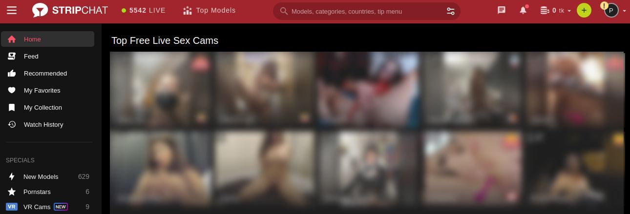 StripChat With Cam Girls