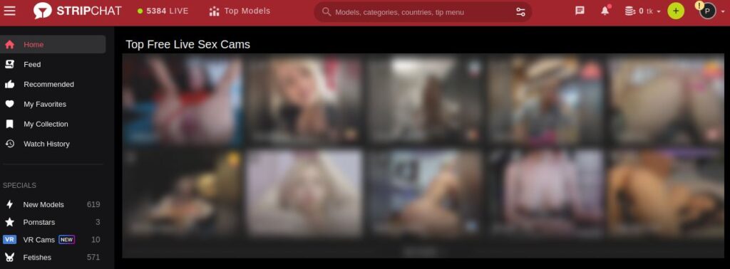 StripChat With Cam Girls