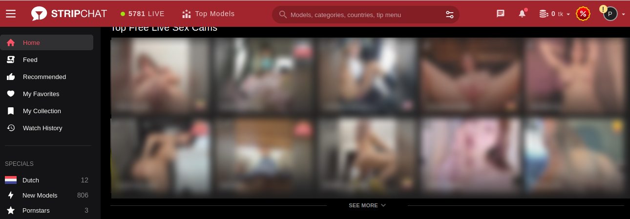 StripChat With Cam Girls